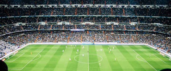 Fans celebrating with flags and face paint at a World Cup match